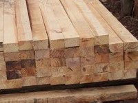 Sarrafo de Pinus com 3,00m